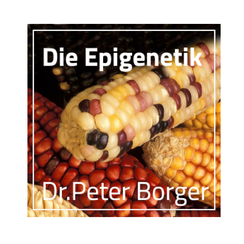 Die Epigenetik – können wir Einfluss auf unsere Gene nehmen?