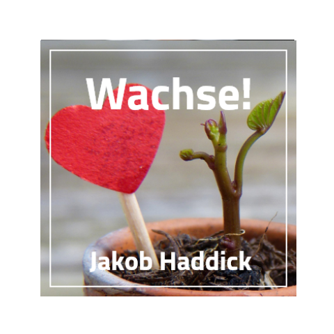 Wachse! Die Auswirkung des neuen Lebens
